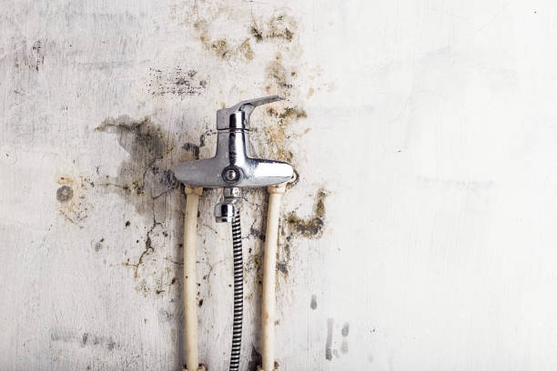 Best Mold Inspection  in Hueytown, AL