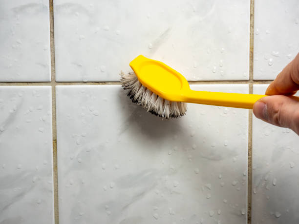 Best Home Mold Removal  in Hueytown, AL