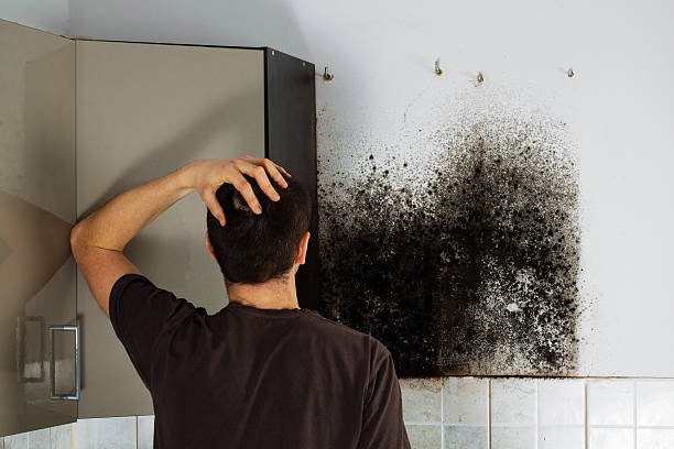 Best Mold Removal Company Near Me  in Hueytown, AL